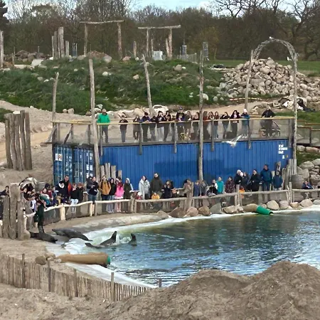 Kuestenbude Seehundblick Lägenhet