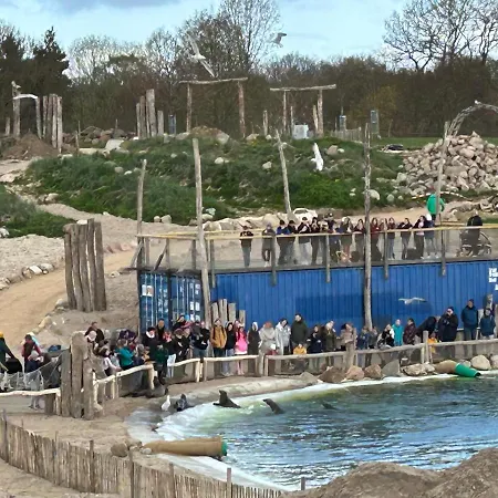 Lägenhet Kuestenbude Seehundblick *