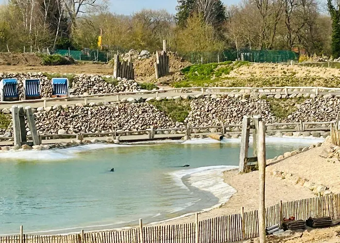 Kuestenbude Seehundblick